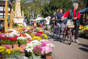 Jesenji sajam cveća "Garden flora"