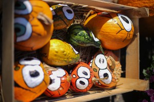 Jesenji sajam cveća "Garden flora"