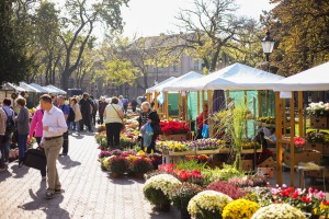 Jesenji sajam cveća "Garden flora"