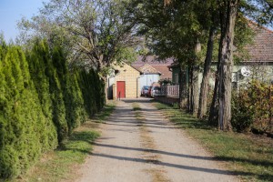 Ministar Nedimović i gradonačelnik Laban u poseti poljoprivrednim gazdinstvima