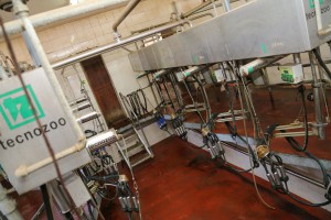 Ministar Nedimović i gradonačelnik Laban u poseti poljoprivrednim gazdinstvima