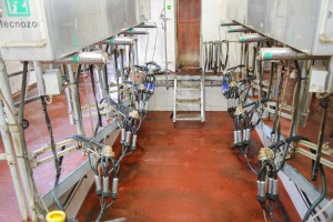 Ministar Nedimović i gradonačelnik Laban u poseti poljoprivrednim gazdinstvima