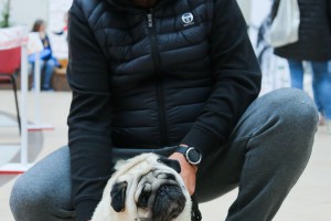 Izbor za najlepše pse i mačke Subotice