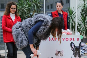 Izbor za najlepše pse i mačke Subotice