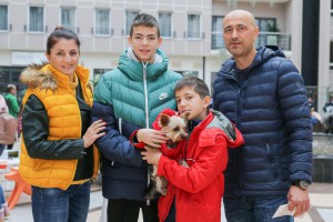 Izbor za najlepše pse i mačke Subotice