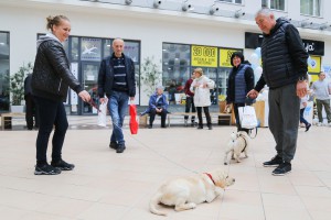 Izbor za najlepše pse i mačke Subotice