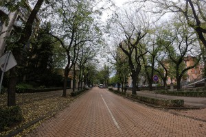 Ulica Braće Radić i rušenje kuća na brojevima 41, 43 i 45