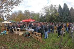 XII Festival mlade rakije