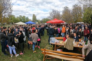 XII Festival mlade rakije