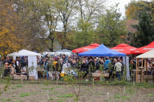XII Festival mlade rakije