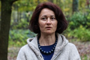 Obilazak lokacije na kojoj je predviđena seča bolesnog drveća