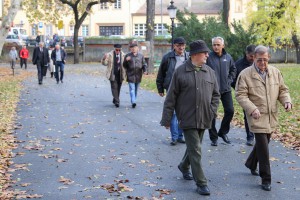 Pomen i polaganje venaca na Spomenik palim junacima za slobodu Subotice