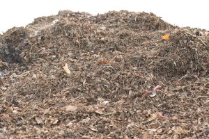 Obilazak deponije između Bikova i Oroma