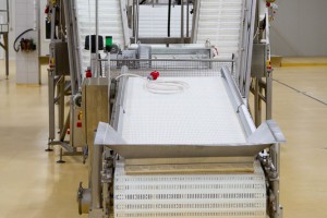 Otvaranje hladnjače i destilerije fabrike "Podrum Palić"