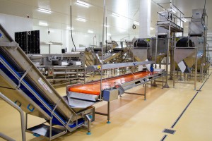 Otvaranje hladnjače i destilerije fabrike "Podrum Palić"