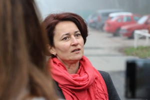 Najava akcije uklanjanja invazivnog drveća i proširenja parkinga