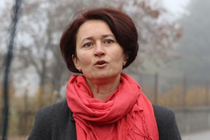 Najava akcije uklanjanja invazivnog drveća i proširenja parkinga