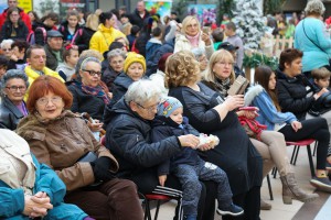 XV manifestacija "Različiti, a isti"