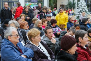 XV manifestacija "Različiti, a isti"