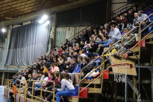 Odbojka: Spartak - Novi Pazar