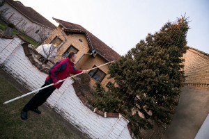 Okićeni dom porodice Bajić u srcu Tavankuta