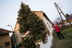 Okićeni dom porodice Bajić u srcu Tavankuta