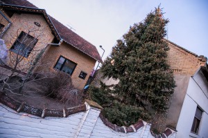 Okićeni dom porodice Bajić u srcu Tavankuta