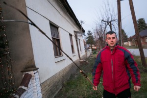 Okićeni dom porodice Bajić u srcu Tavankuta