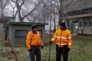 Sađenjе drveta u okviru akcije "Za novi život"