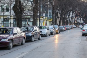 Organizovani odlazak u seču badnjaka i verski obred