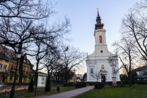 Organizovani odlazak u seču badnjaka i verski obred