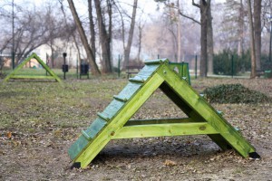 Otvaranje parka za pse