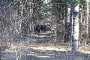 Migranti na Kelebiji