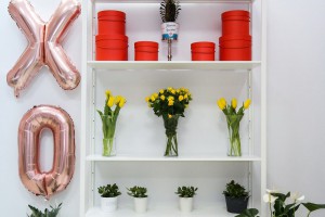 Koktel povodom otvaranja cvećare i prodavnice poklona "Nika events"