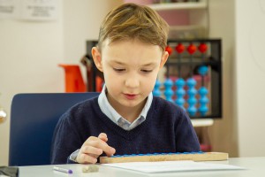 Program "SuanPan" aritmetike