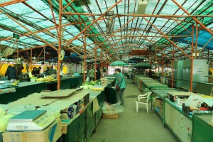 Pijace u doba korone