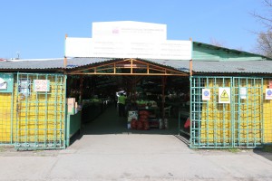 Pijace u doba korone