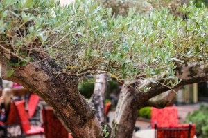 Radna atmosfera u vanrednim okolnostima