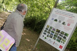 Polaganje venaca na spomen bistu Josipu Brozu Titu u Mini Jugoslaviji