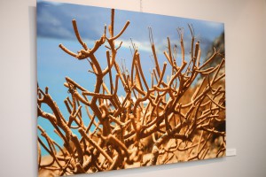 Izložba fotografija Mie Medaković "Ključ sveta"