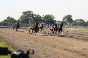 Treći trkački dan u sezoni 2020 - "Probni derbi"