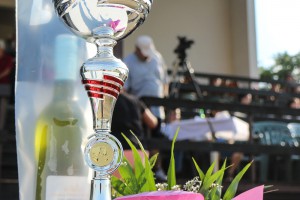 Treći trkački dan u sezoni 2020 - "Probni derbi"