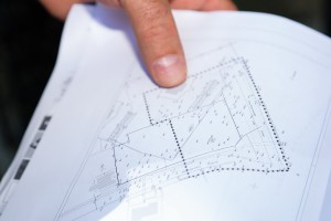 Peticija protiv preseljenja pristupnog puta u Aleji maršala Tita