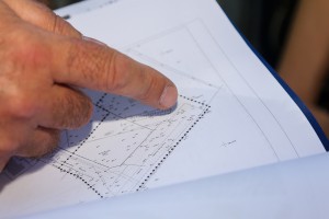 Peticija protiv preseljenja pristupnog puta u Aleji maršala Tita