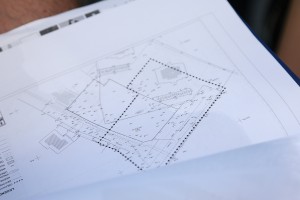 Peticija protiv preseljenja pristupnog puta u Aleji maršala Tita