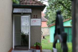 Jene Maglai (PGS) - obraćanje povodom izbornih rezultata