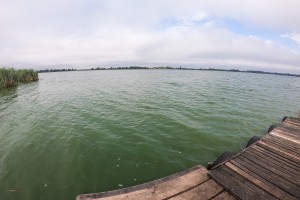 Izlov invazivne ribe u Palićkom jezeru