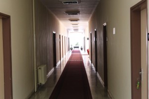 Obraćanje Hrvatskog demokratskog foruma (HDF)