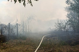 Požar u porodičnom gazdinstvu u Ulici dr Ferenca Bodrogvarija