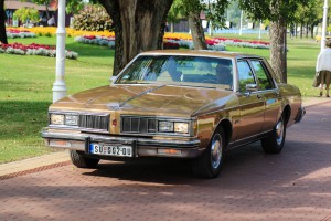 10. susret oldtajmera - izložba "Kulturološki milje obogaćen oldtajmerima"